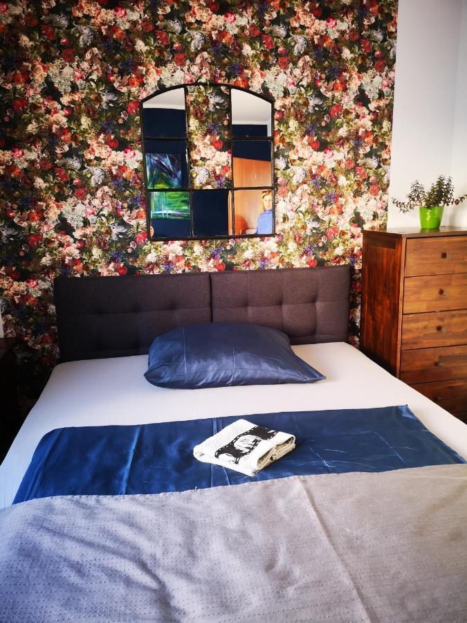 Hostel Mazurska 8A Olsztyn  Extérieur photo